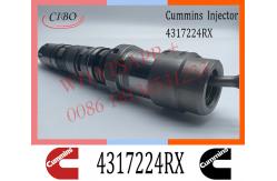 China Diesel Engine Fuel Injector 4317224RX 4317224 For Cummins QSK45 QSK60 Engine supplier