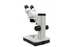China 1W LED Binocular Stereoscopic Microscope A22.1309 1W 110 - 240V Power Supply supplier