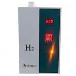 600ml/Min SPE PEM Molecular Hydrogen Inhalation Machine H2 Advanced Water Electrolysis