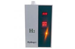 China 600ml/Min SPE PEM Molecular Hydrogen Inhalation Machine H2 Advanced Water Electrolysis supplier