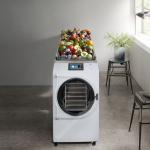 SUS 304 Household Vacuum Freeze Dryer Lab Freeze Dryer PLC Control system