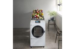 China SUS 304 Household Vacuum Freeze Dryer Lab Freeze Dryer PLC Control system supplier