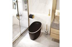 China Automatic Flushing Smart Intelligent Toilet Self Cleaning Power Saving supplier