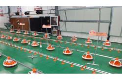 China New Poultry Farm Drinking System Caged Chicken House Watering Systems supplier