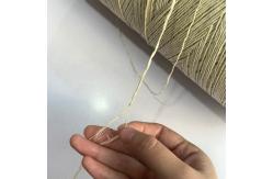 China 460tex 480tex 2ply Sausage Loop Twine Fibrillated Polypropylene twisted thread 220N supplier