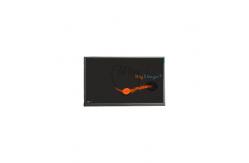 China 10.1 inch LCD Panel F101A29-604 LCD DISPLAY PANEL supplier