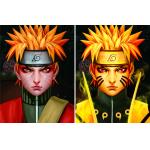 Custom Printing 3D Lenticular Poster PET Flip Change Image High Definition