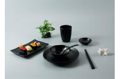 China OEM ODM Plastic Melamine Dinnerware Set For Japanese Restaurant supplier
