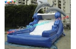 China Dolphin Outdoor Inflatable Water Slides, Swimming Pool Slide With UL Blower supplier