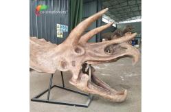 China ISO water repellent Dinosaur Skeleton Replica Fossil Life Size Triceratops Skull supplier
