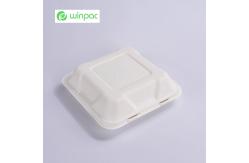 China Sustainable Compostable Sugarcane Bagasse Clamshell Takeaway Containers 8 Inch supplier