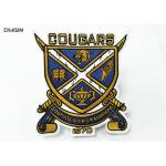 Eco Friendly Sports Team Patches Twill College Football Team Patches for sale