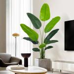 Multiple sizes Tall Bird of Paradise Artificial Tree  with Large Trunks and Realistic Leaves Big Faux Floor Potted Plants Fake Silk Plants for Home Office Living Room Decor Indoor for sale