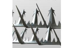 China Anping TLWY Razor Sharp Fence Security Spikes Thickness 2mm supplier