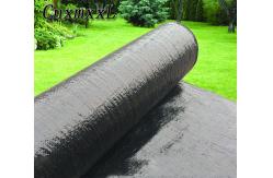 China Horticulture 2mm Reflective Plastic Weed Barrier 500ft Stop Weeds Membrane supplier