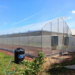 Urban Farming Sawtooth Agricultural Greenhouse Plastic Agri Greenhouse Single Span for sale