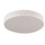 Round Simple Ceiling Lights Dimming Ceiling LED Lamps for Hotel for sale
