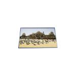 P460HVN04.5 46.0 inch LCD display panel 1920*1080 LCD Screen Module for sale