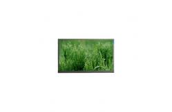China 8.0 inch 1200*1920 P080LDN-DB3 WLED LCD Panel Module supplier