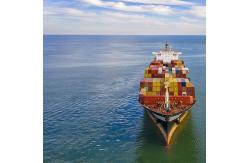 China From To Usa Sea Freight Shipping Customs Clearance Required Tracking Service Available supplier