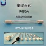 G24T5L T5 T8 UVC Disinfection Lamp Double Side UV LED Tube Sterilizing