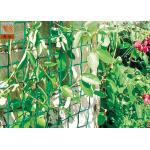 Plastic Garden Netting For Climbing Plants , Garden Fence Roll With UV Stabilized for sale