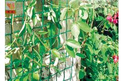 China Plastic Garden Netting For Climbing Plants , Garden Fence Roll With UV Stabilized supplier