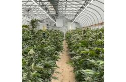 China 100% Shade Net Tunnel Agriculture Black Film Light Deprivation Greenhouse Blackout supplier