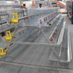 A Type 3 Layer Poultry Broiler Cage Temperature Management System for sale