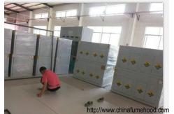 China Ventilated Chamber With PP Structure Fume hood For Phyical Laboratory supplier