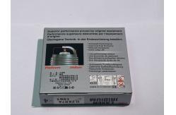 China BMW X1 (E84) 2009-2011 NGK Iridium Spark Plug ILZFR6D11 1208 supplier