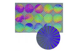 China Waterproof Laser Custom Tamper Proof Stickers For Certifications supplier