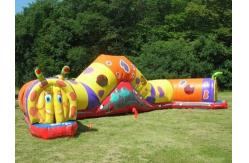 China Inflatable Cartoon Tunnel For Children Amusement Park Games supplier