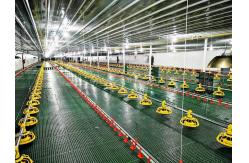 China Intelligent Automatic Broiler Feeding System Hopper Poultry Feeder supplier