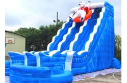 China Big Long Inflatable Slip And Slide For Adults In Playing Center supplier