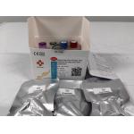 Tilapia Lake Fish Virus Nucleic Acid Detection Kit Real Time PCR Lyophilized for sale