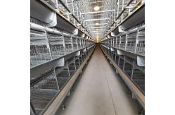China 4 Tires H Frame Layer Chicken Cage Galvanized Steel Wire Mesh supplier
