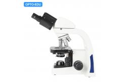 China OPTO-EDU A11.3621 1000x Student Biological Microscope supplier