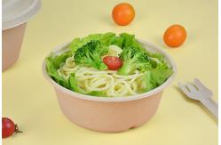China Disposable Biodegradable Take Away Pulp Sugar Cane Bagasse Bowl with Lid supplier