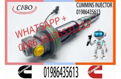 China Genuine Fuel Injector Assembly F00BJ00002 01986435613 0986435902 0986435905 0986435616 F00BJO0008For Qsk19 Engine supplier