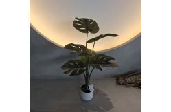 China 70cm Artificial Monstera Tree Artificial House Plants For Indoor / Outdoor supplier