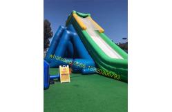China hippo giant inflatable water slide for kids and adults supplier