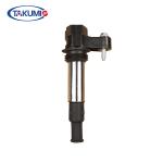 High Voltage Ignition Coil Replacement Impact Proof 12137575010 6 Mouths Warranty for sale