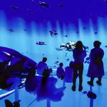 Custom Indoor 3d Multi Large Screen Immersive Hanging Glass Theater Experience