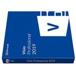 Locally Installed Microsoft Visio Professional 2019 License 1 Device Windows 10 for sale