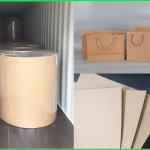 120gsm - 300gsm Recycle Pulp High Bursting Resistance Carta Kraft For Bags for sale