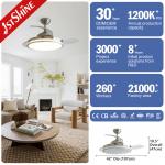 Retractable Ceiling Fan for Child Room Invisible Design Remote Control Safety Features