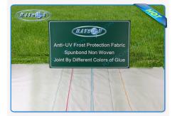 China Biodegradable And Breadable 23gr Pp Spunbond Non Woven Agriculture Fabric supplier
