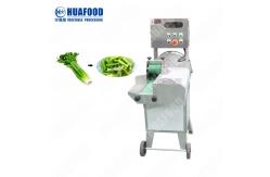 China Industrial Multifunction Vegetable Cutting Machine fruit and vegetable cutter machine supplier