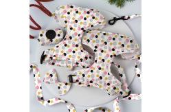 China Neoprene Breathable Dog Walking Kit Flora Puppy Leashes Harnesses supplier